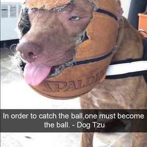 Meet your Posher, Seth